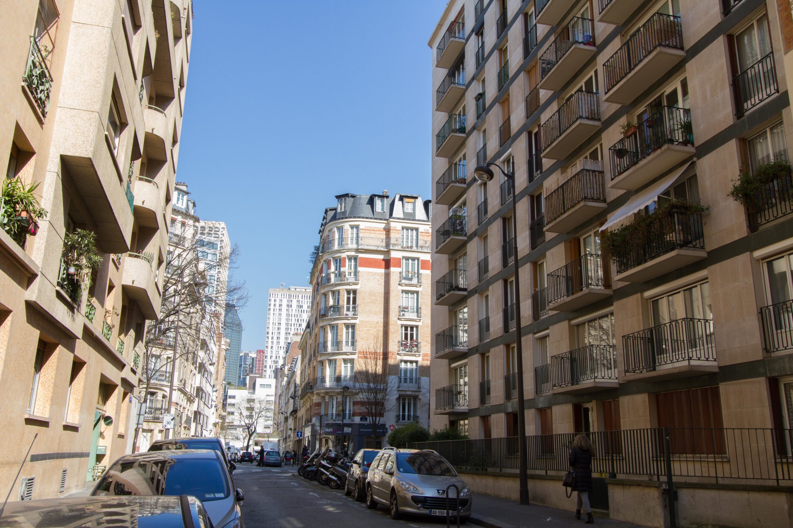 appartement vente achat Paris 15ème 75015 parquet luminosité Javel Charles Michels Emile Zola